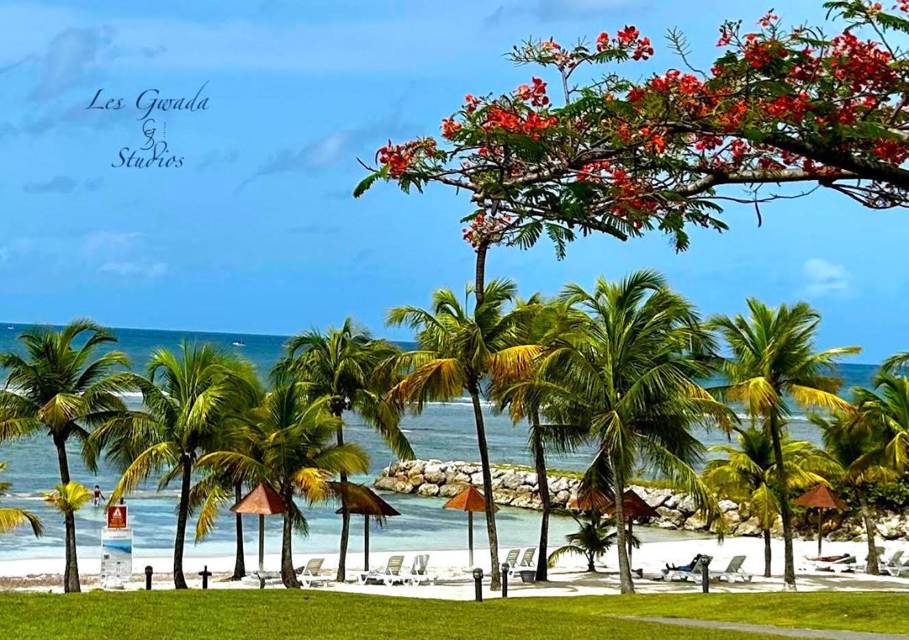 Accès Direct Plage, Magnifique Vue Mer, Gwanada Studio à Pierre et Vacances Sainte-Anne  Exterior foto